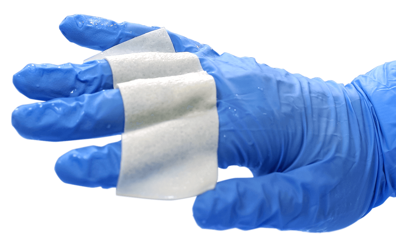 Cortiva Silhouette on glove